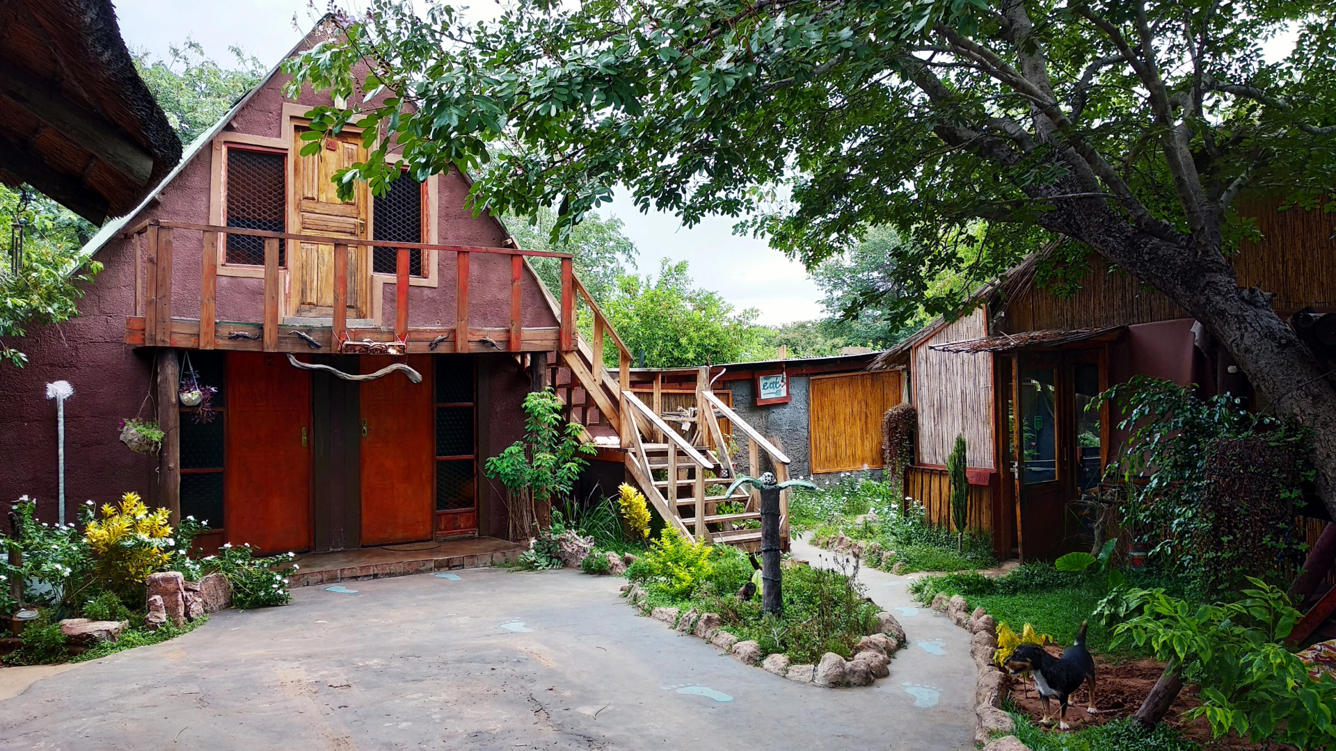 Хостел Elephant Trail Guesthouse and Backpackers