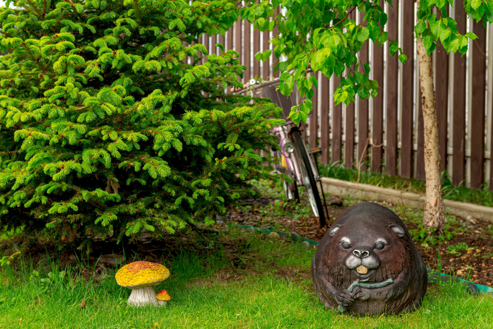 Квартира Студия