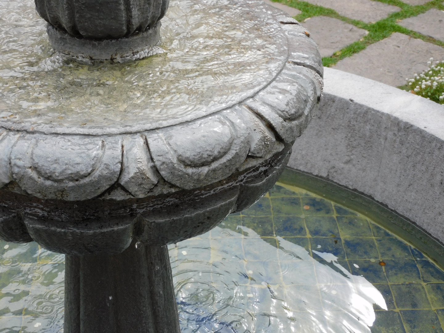 Отель La Quinta Luna Culture By Rotamundos