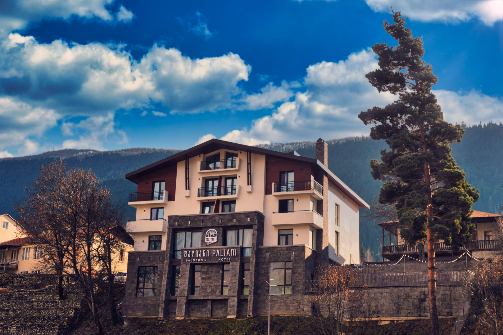 Отель Paliani