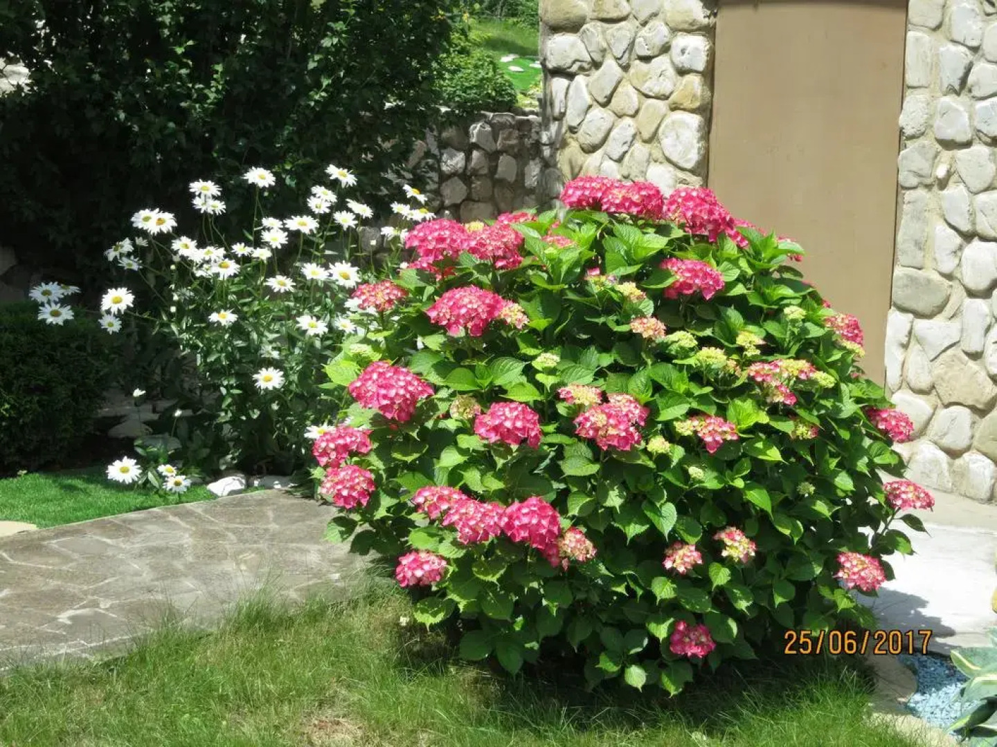 Гостевой дом Нэста РФ