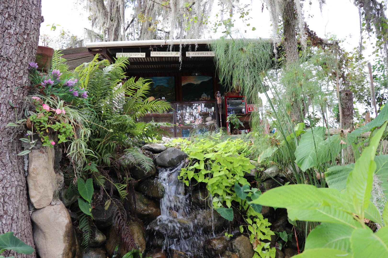 Отель Cabañas Spa Calicantre Rotamundos