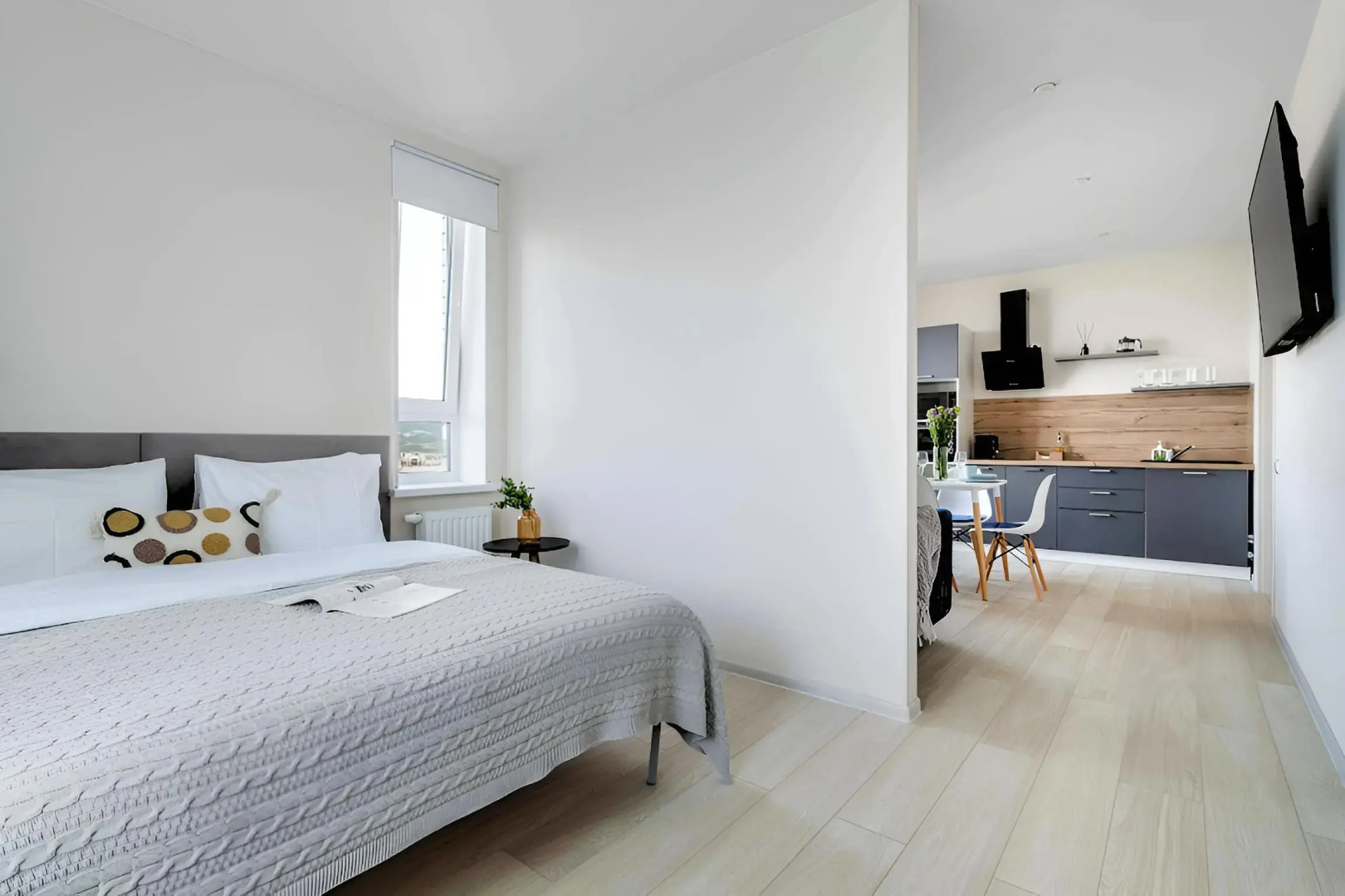 Апартаменты Вид на горизонт