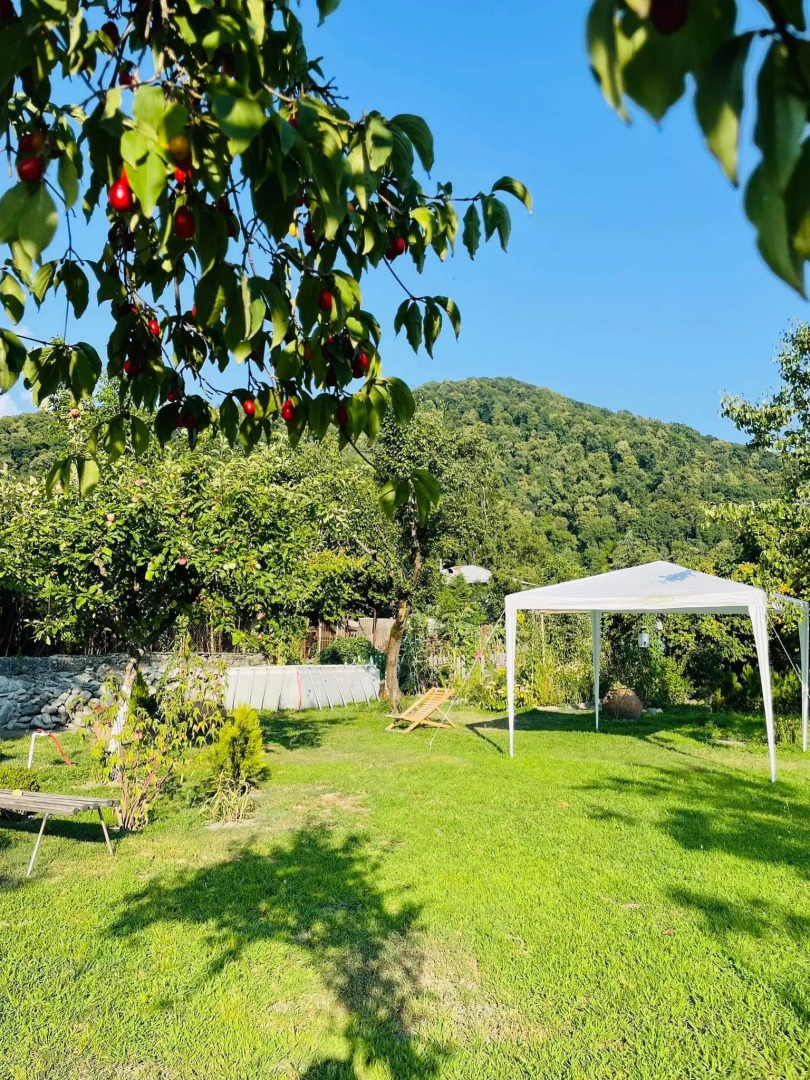 Guesthouse STAR Lagodekhi