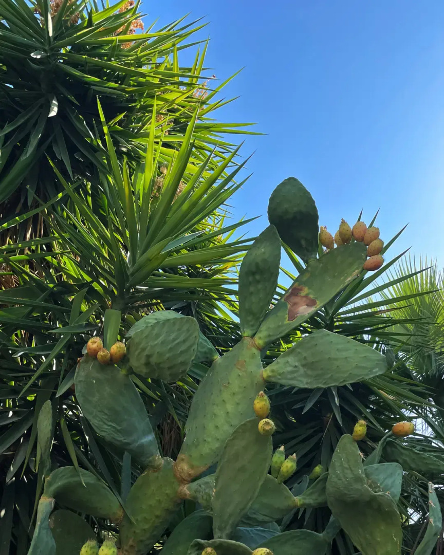 Апарт-отель Rix