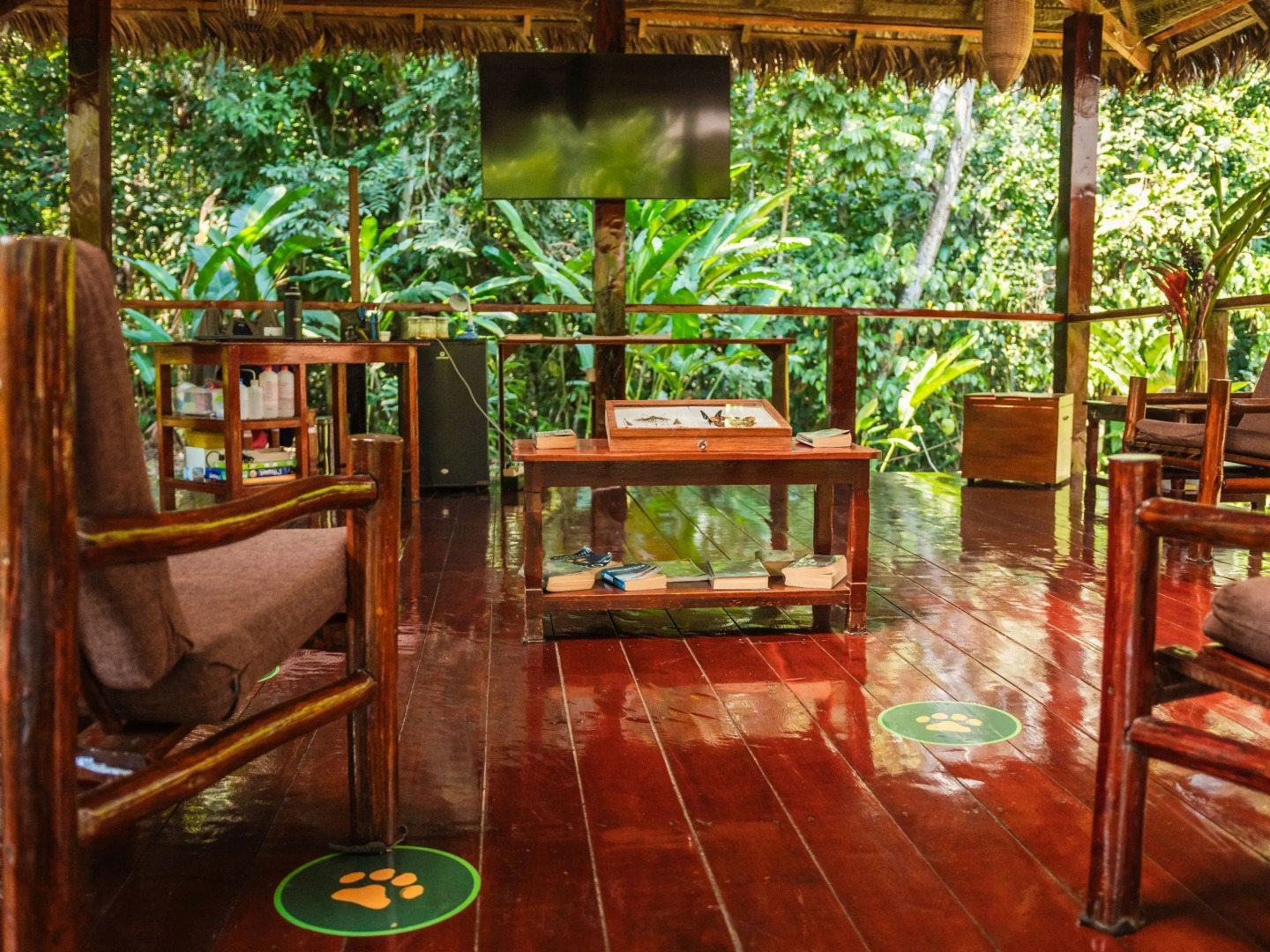 Отель Posada Amazonas