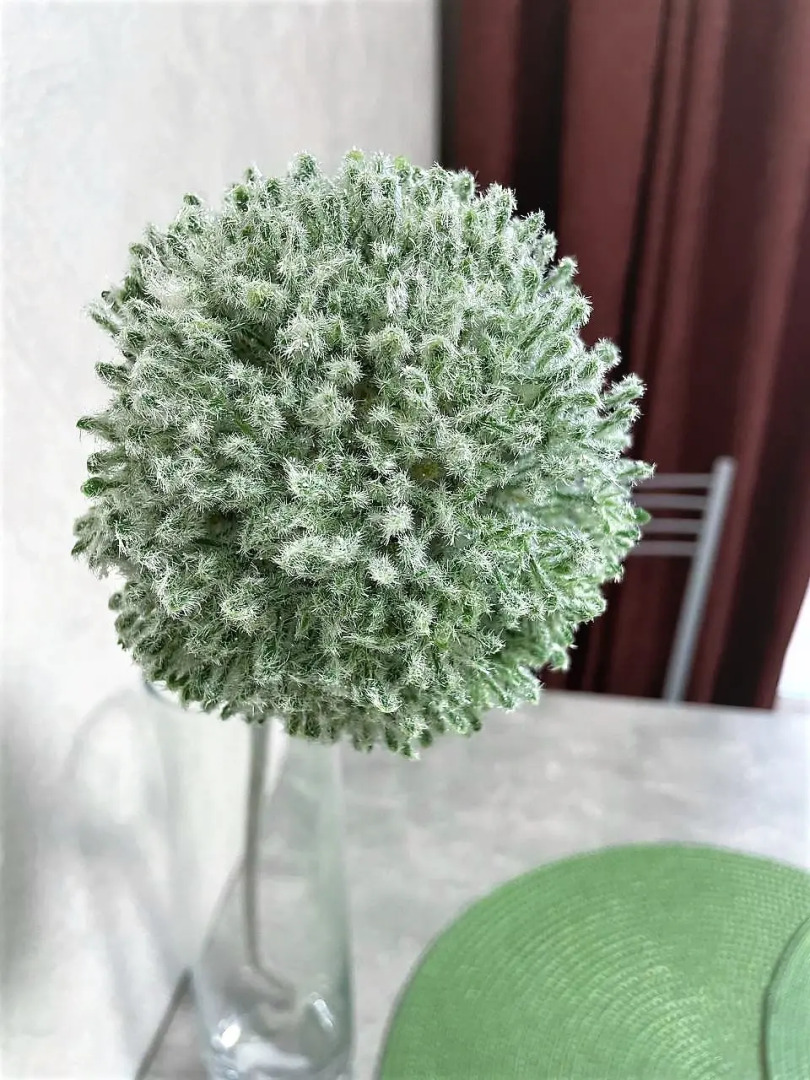 Апартаменты Прекрасная квартира