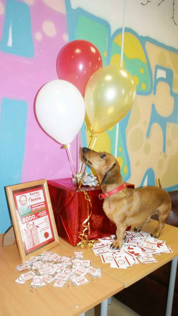 Хостел Арена