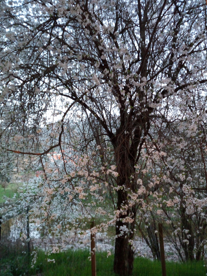 La Casetta di Varignana Apartments
