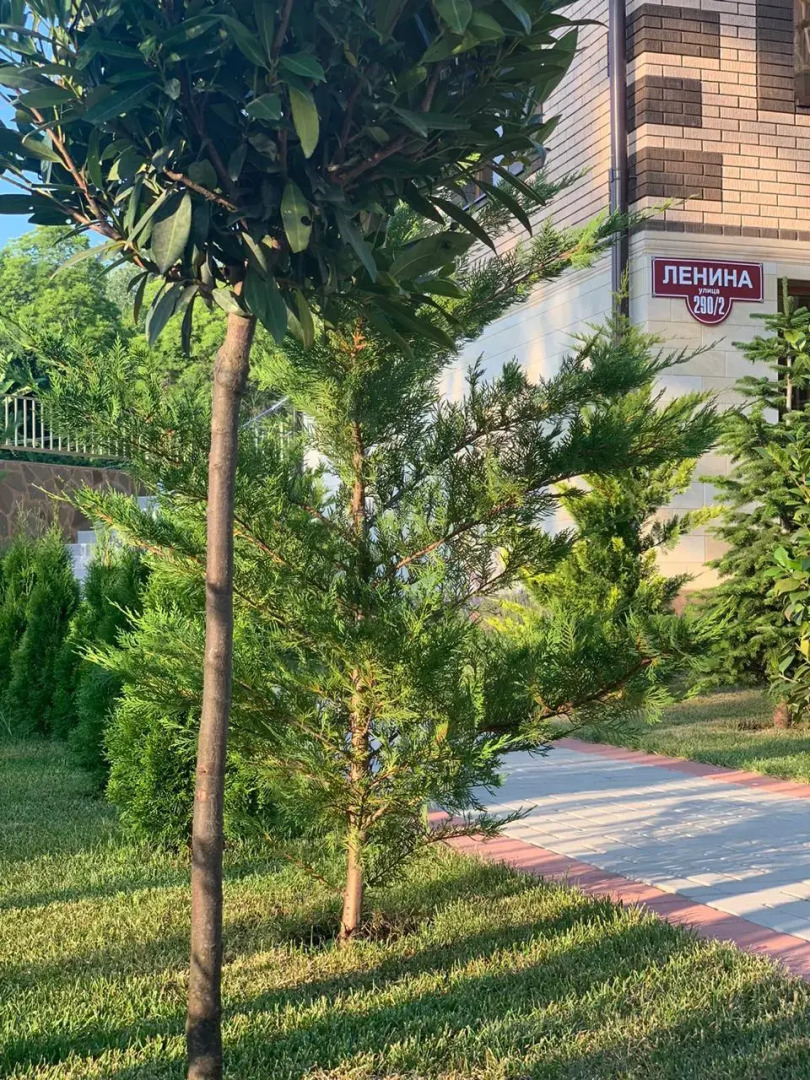 Гостевой дом Солнечный город