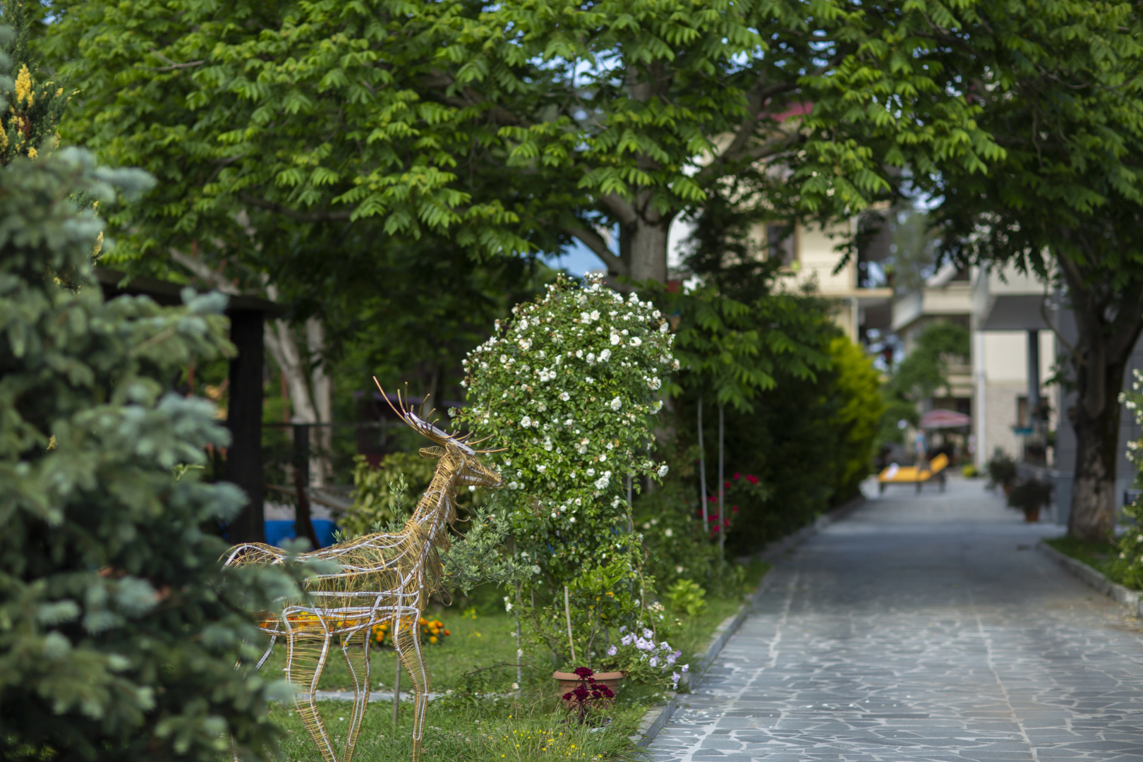 Отель Chveni Ezo Boutique Hotel