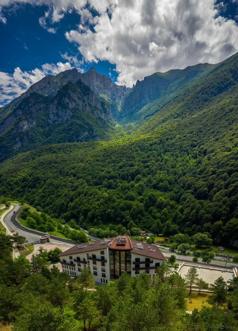 Отель Forrest Terrace