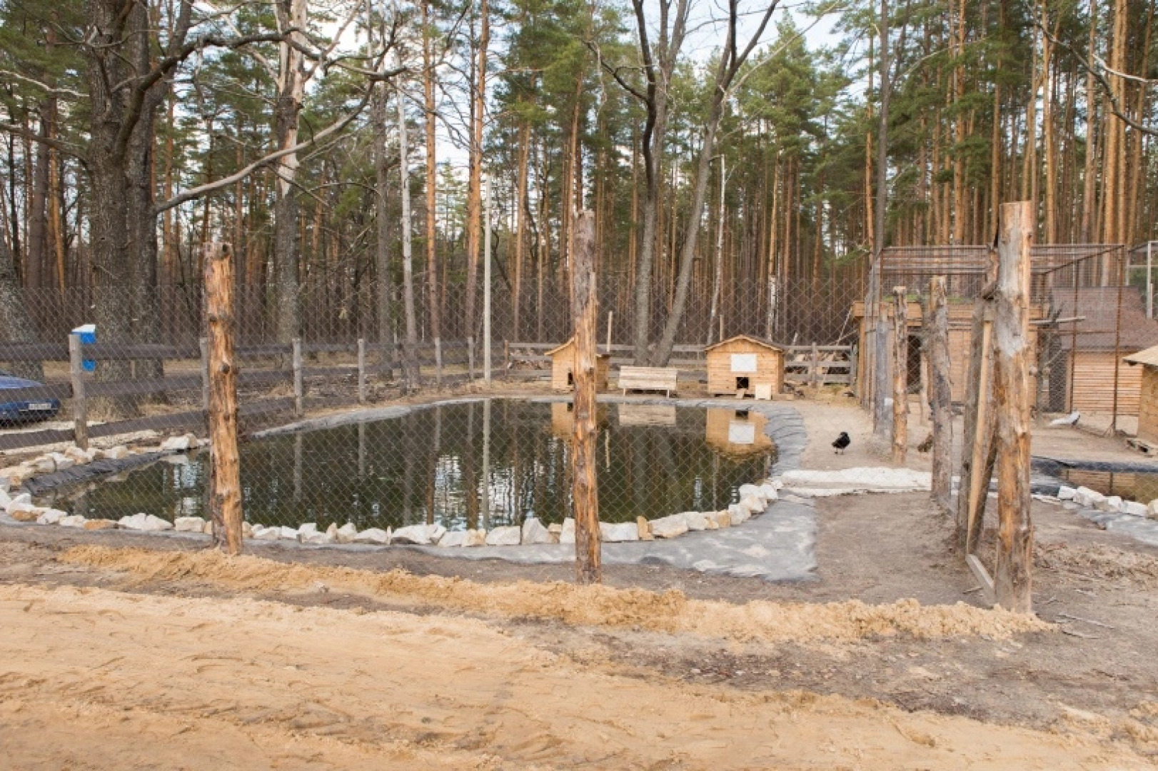 Отель Парк-отель Березка