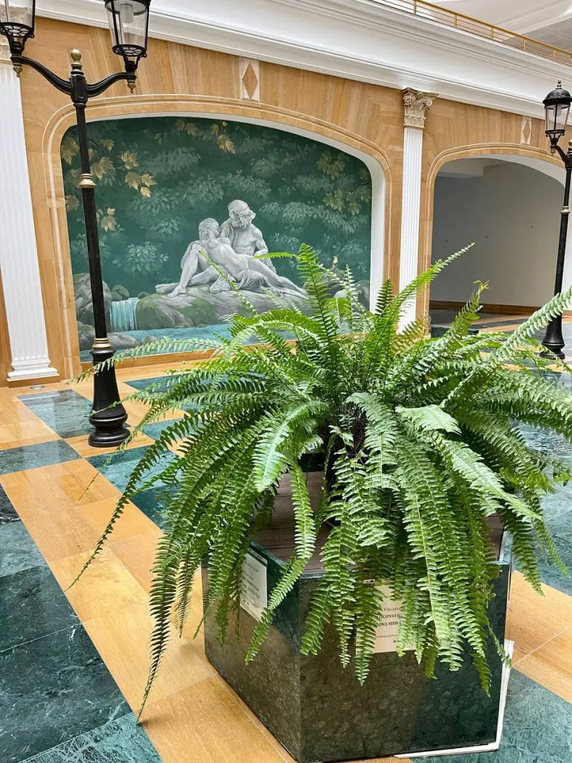 Апартаменты с Шикарным Видом на Море и горы