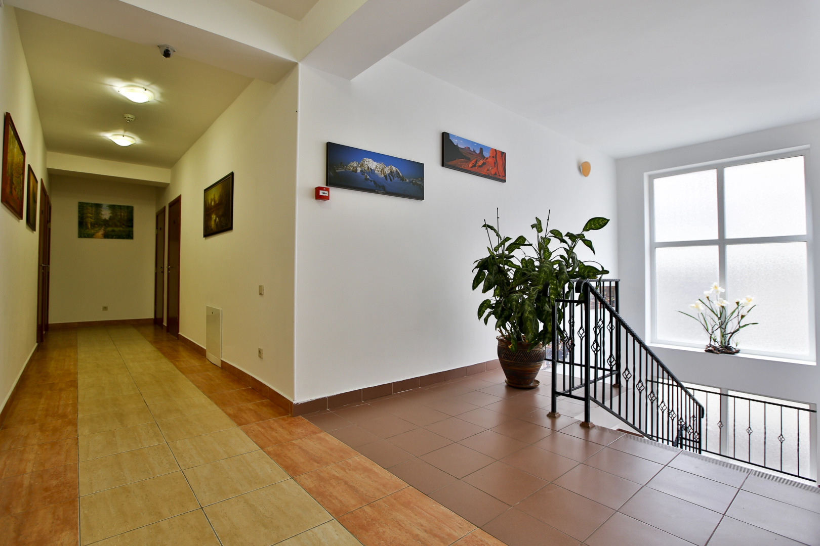 Отель Marina Inn