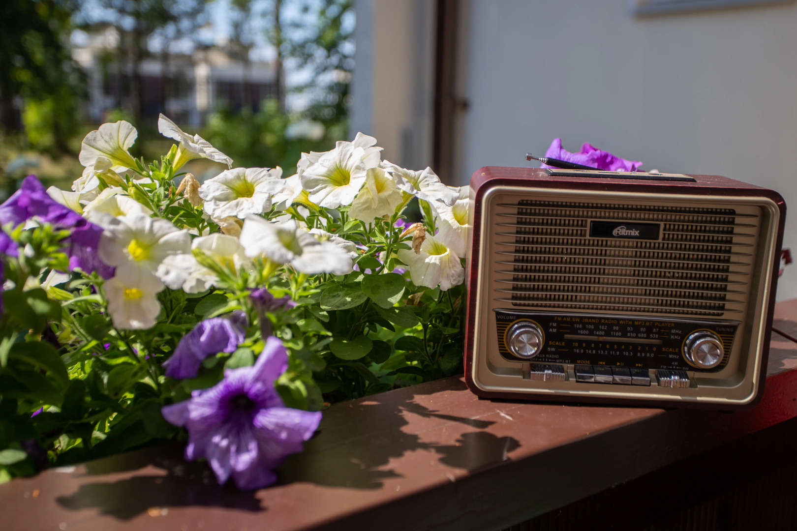 Отель Парк Отель