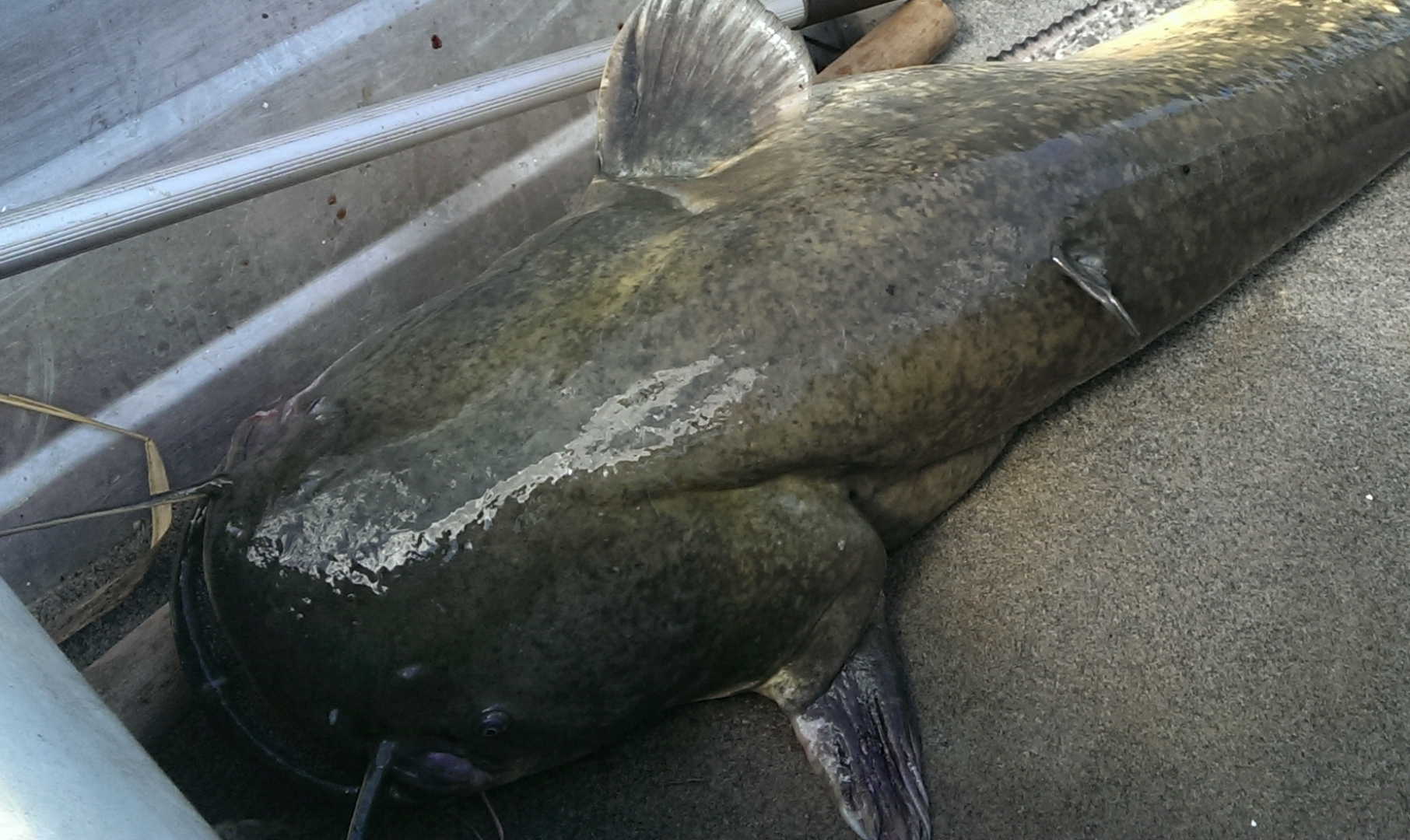 База отдыха Астраханская