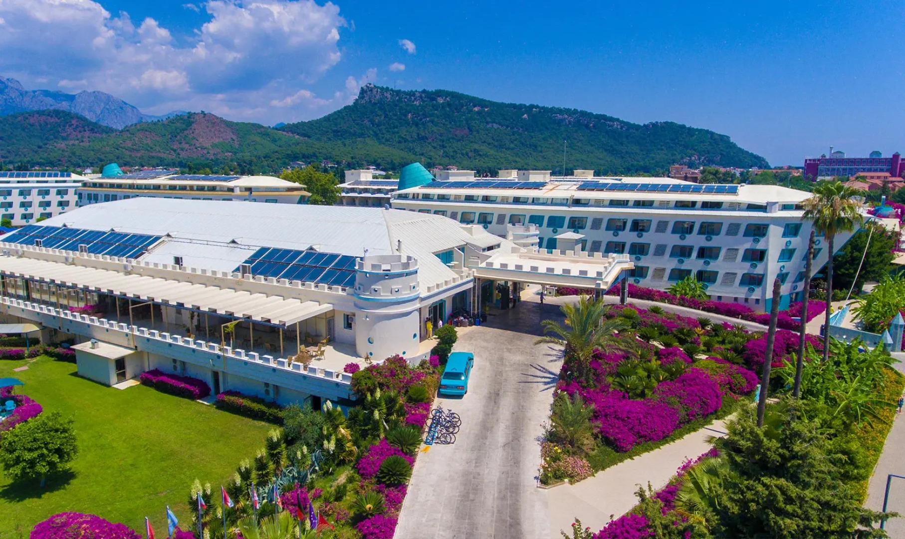 Отель Daima Biz