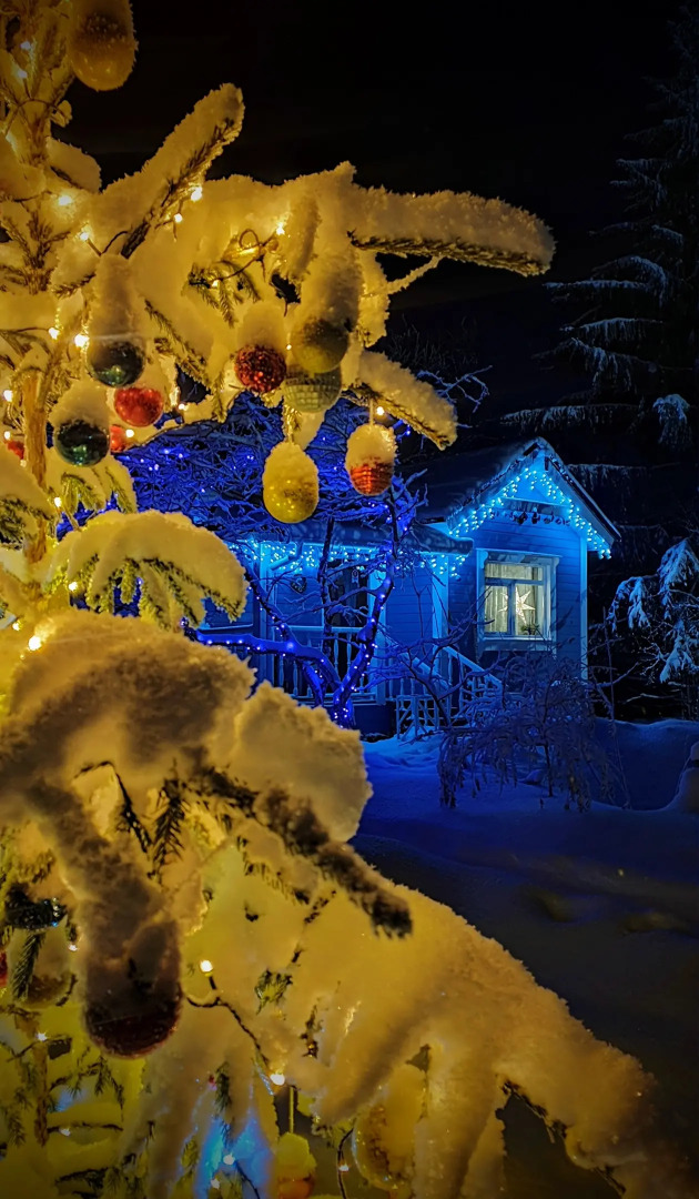 Гостевой дом Лосиный Тупичок