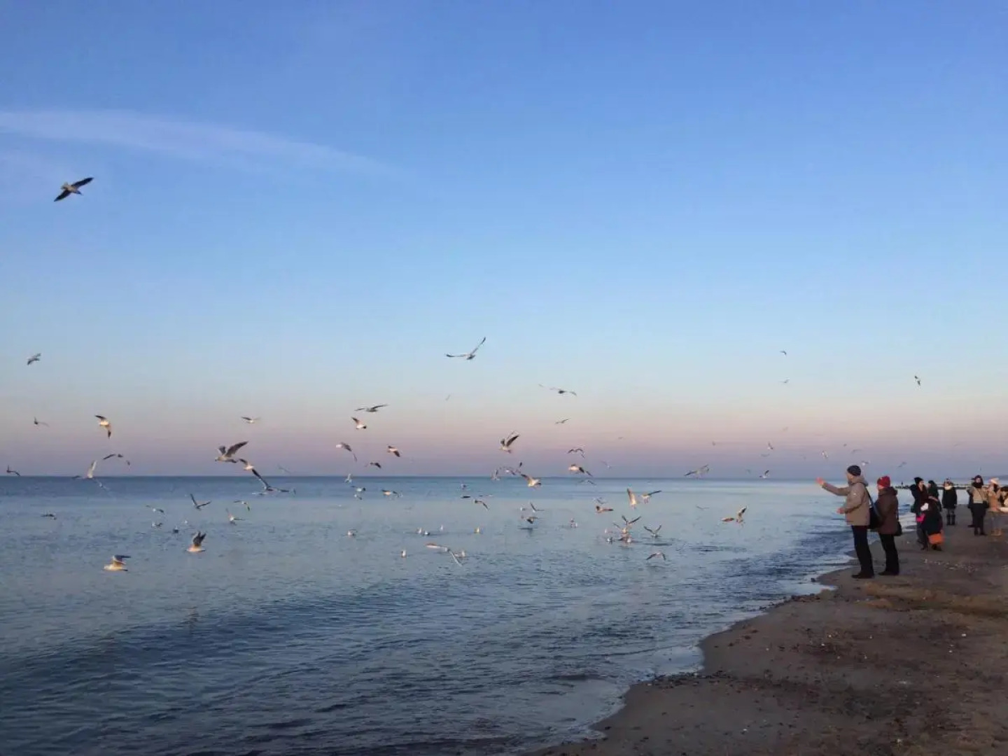 Апартаменты Apartburo Студия с видом на море