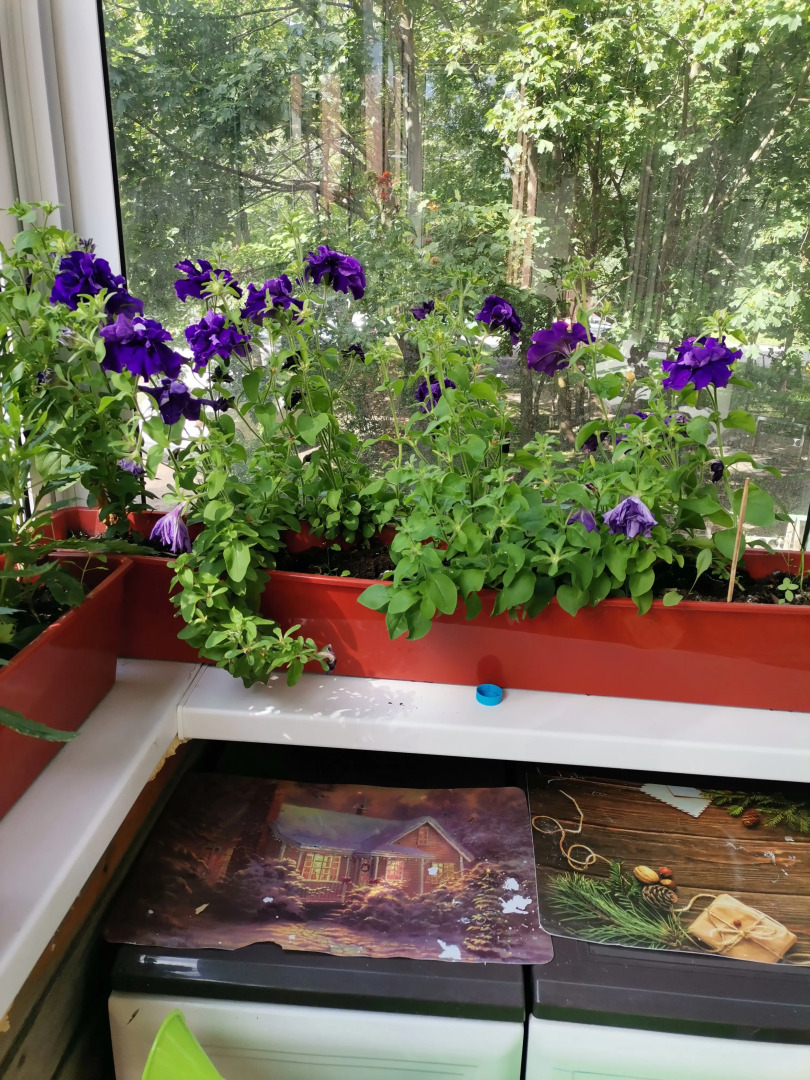 Апартаменты с камином в центре города