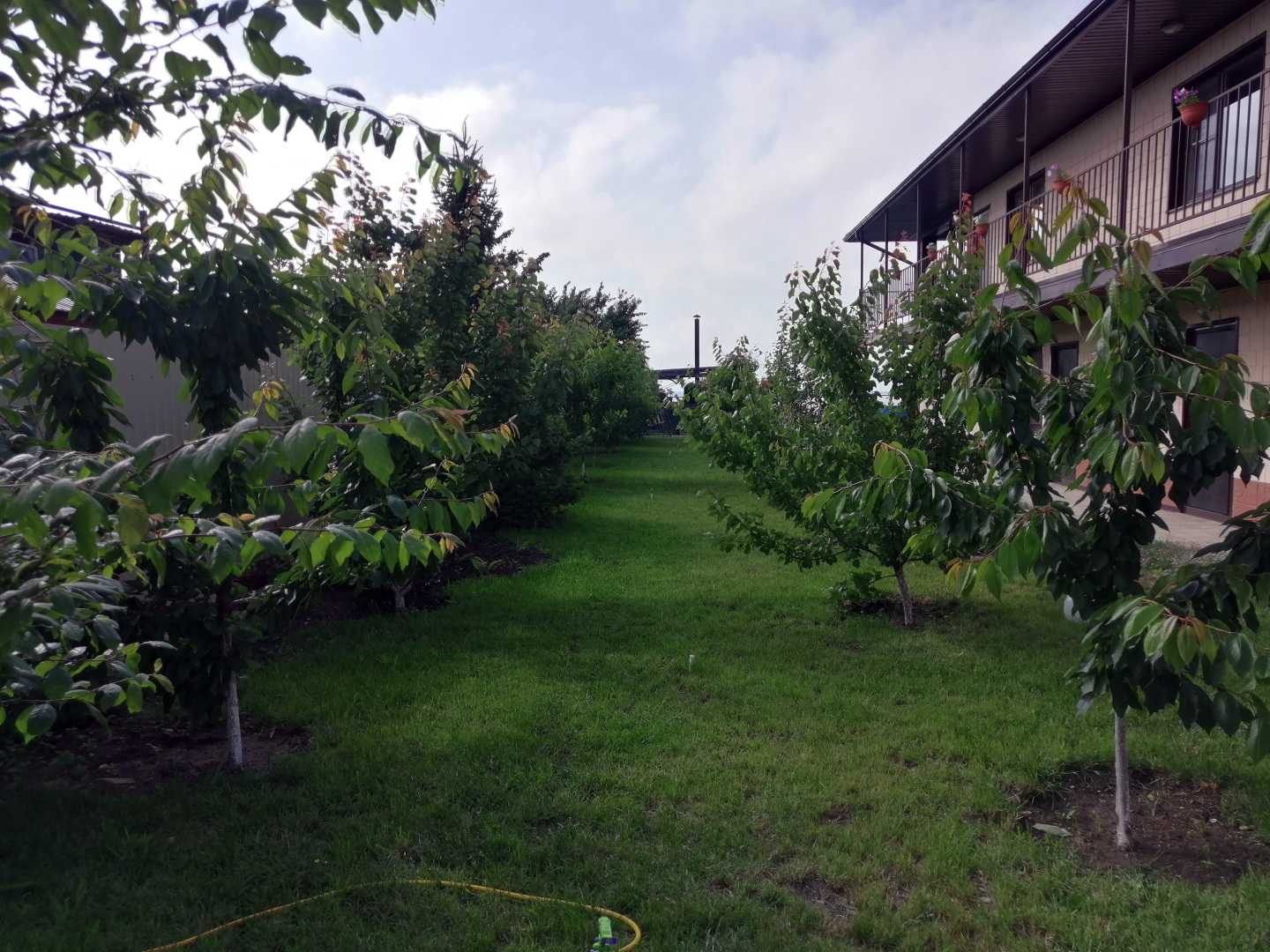 Меблированные комнаты Заветы Ильича