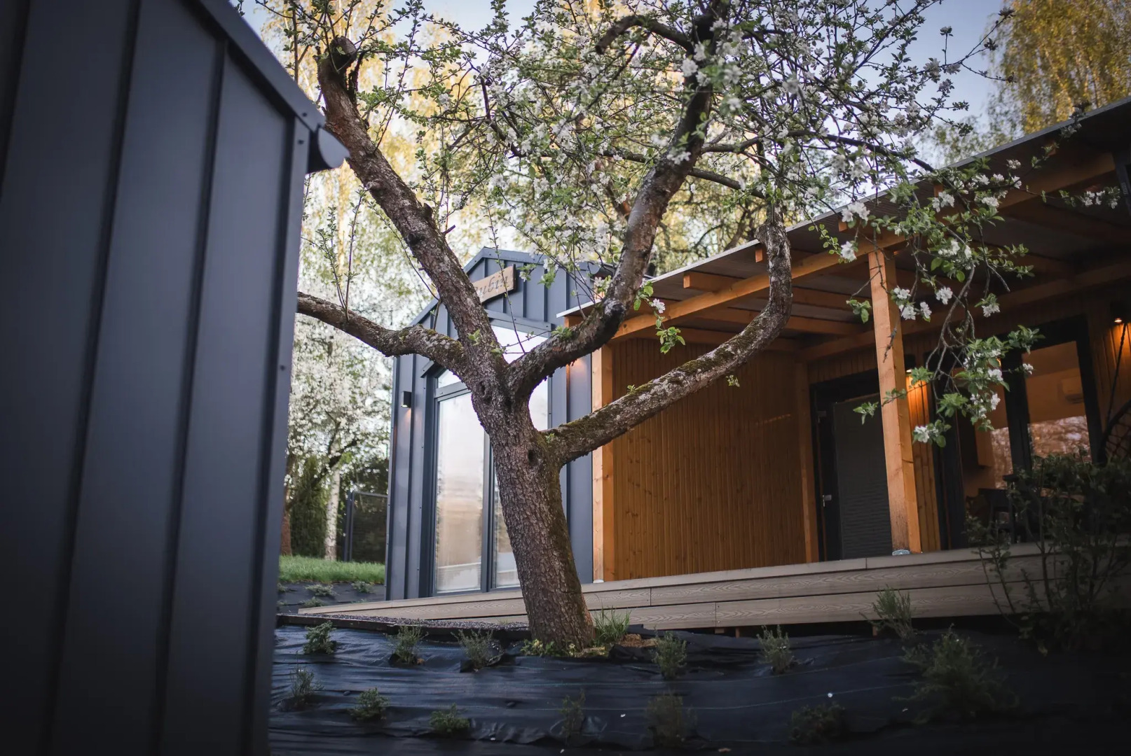 Глэмпинг Stare Sady Kopytówka Domki pod Krakowem