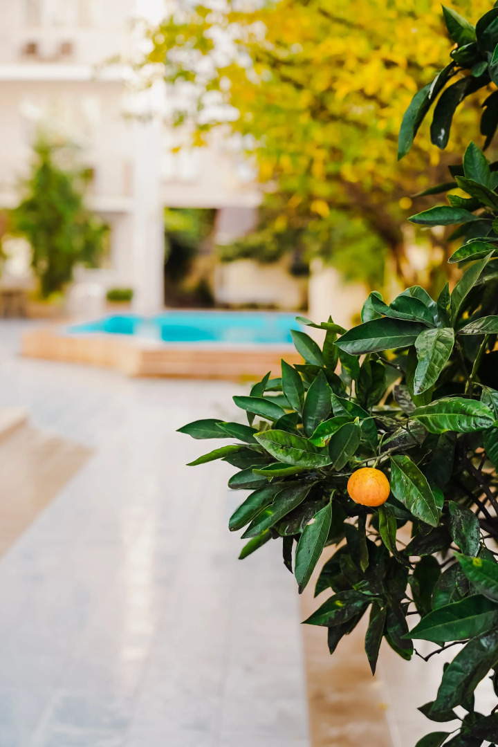 Гостевой дом Мзымта