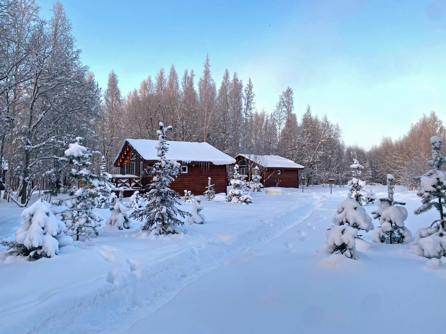 Гостевой дом Ладога Хоум - Лес
