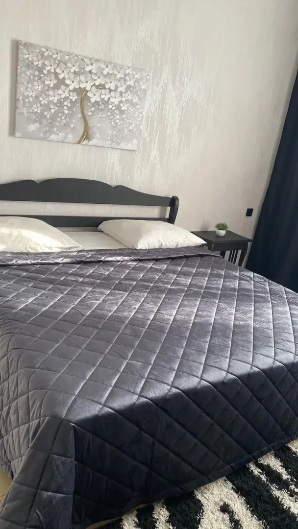 Отель Плазма