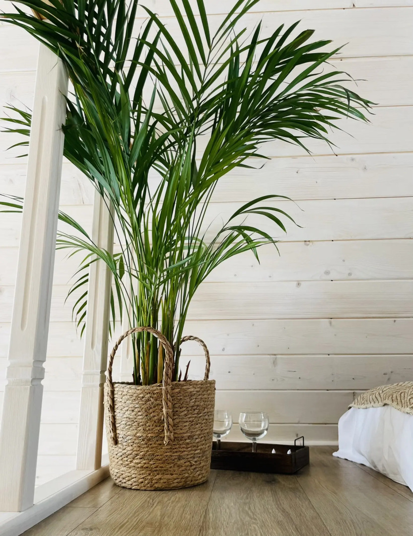 Частный Дом в Балийском Стиле