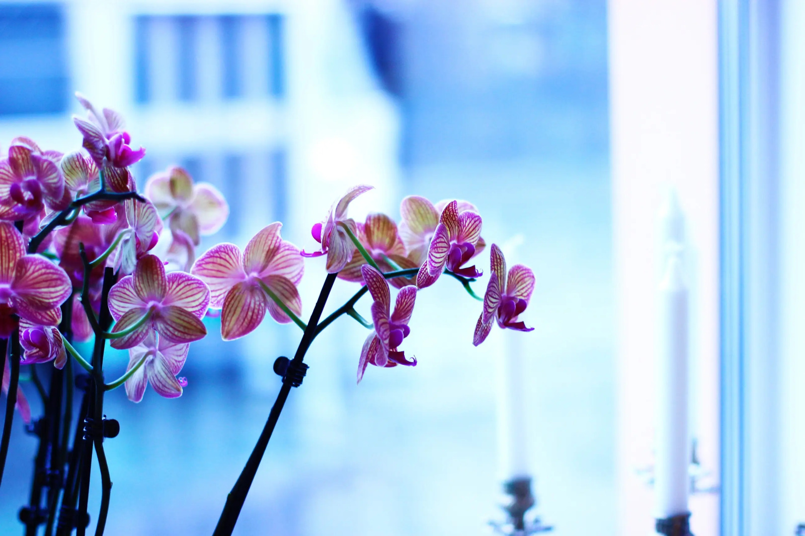 Отель Чехов