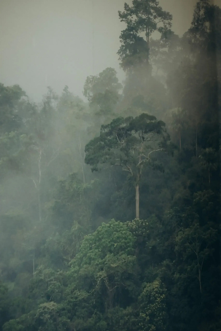 Апартаменты Приятная Однокомнатная Квартира