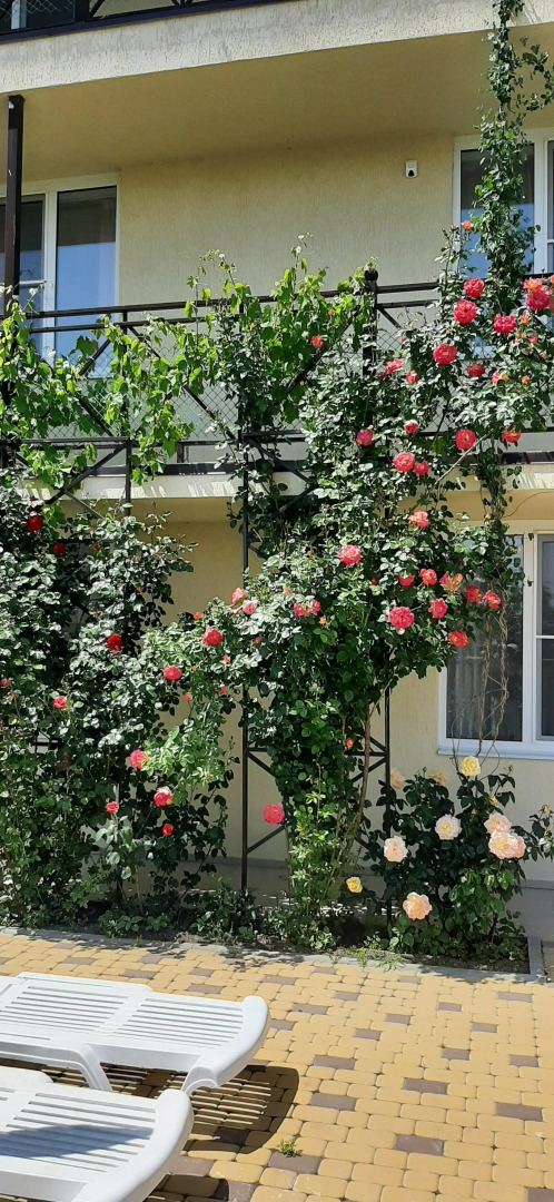 Guest House on Aivazovskogo 38