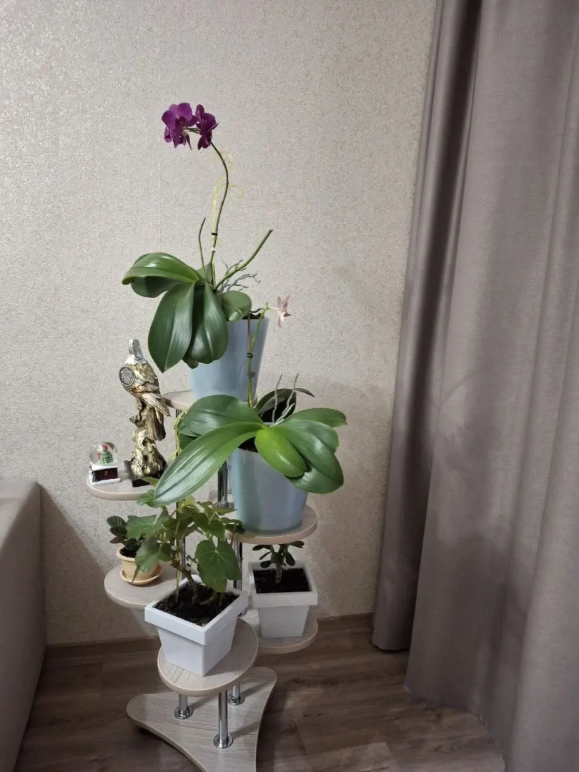 Квартира Уютная Квартира напротив Основания Города