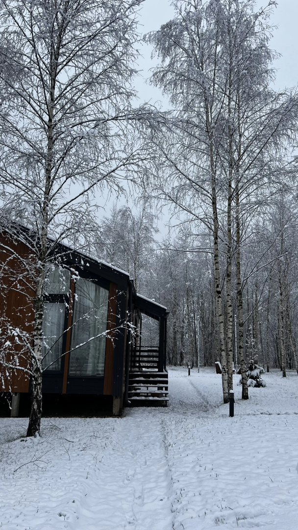 Частный дом в березах