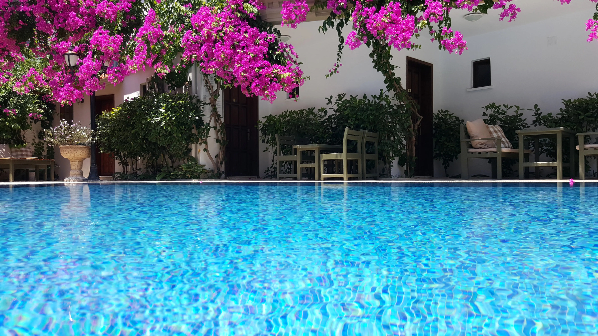 Отель Palme Royal