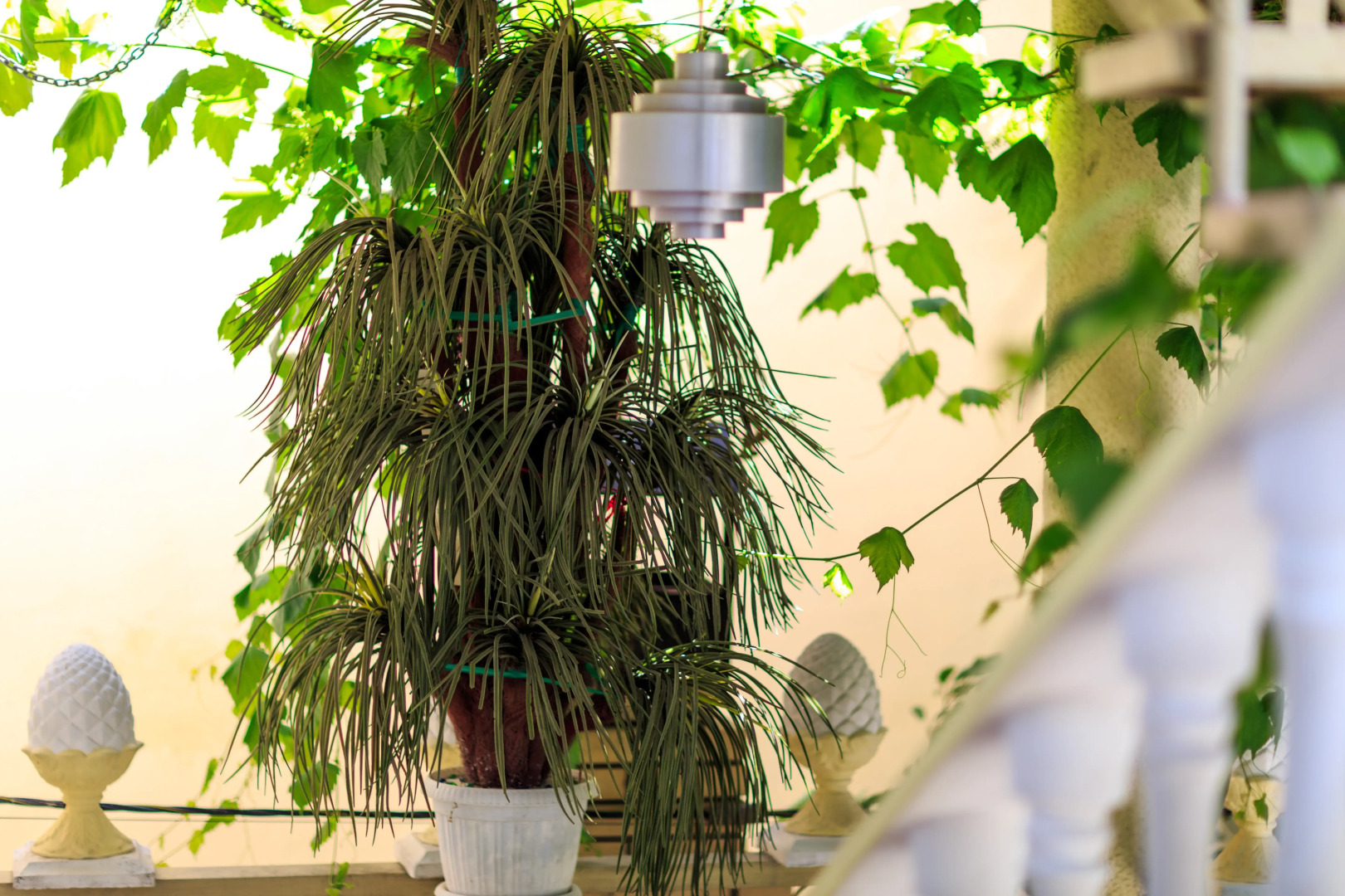 Гостевой дом Панорама