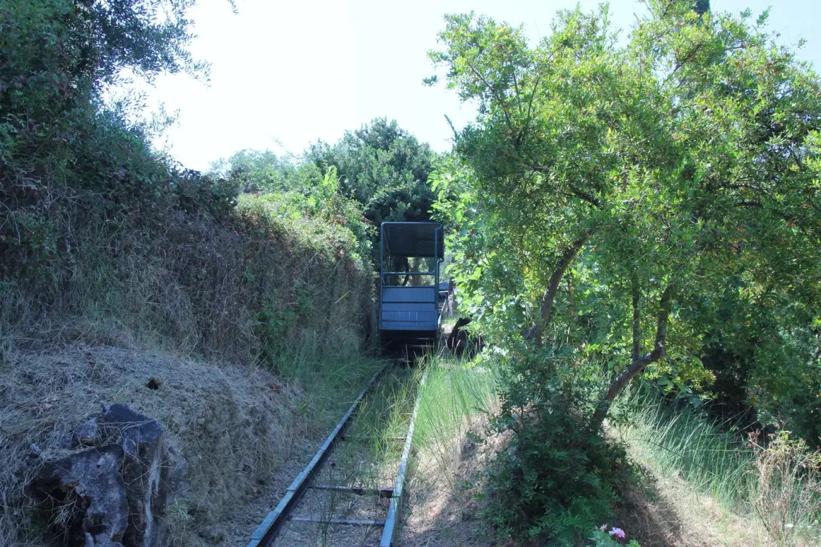 Гостевой Дом Villa Myrtia Corfu