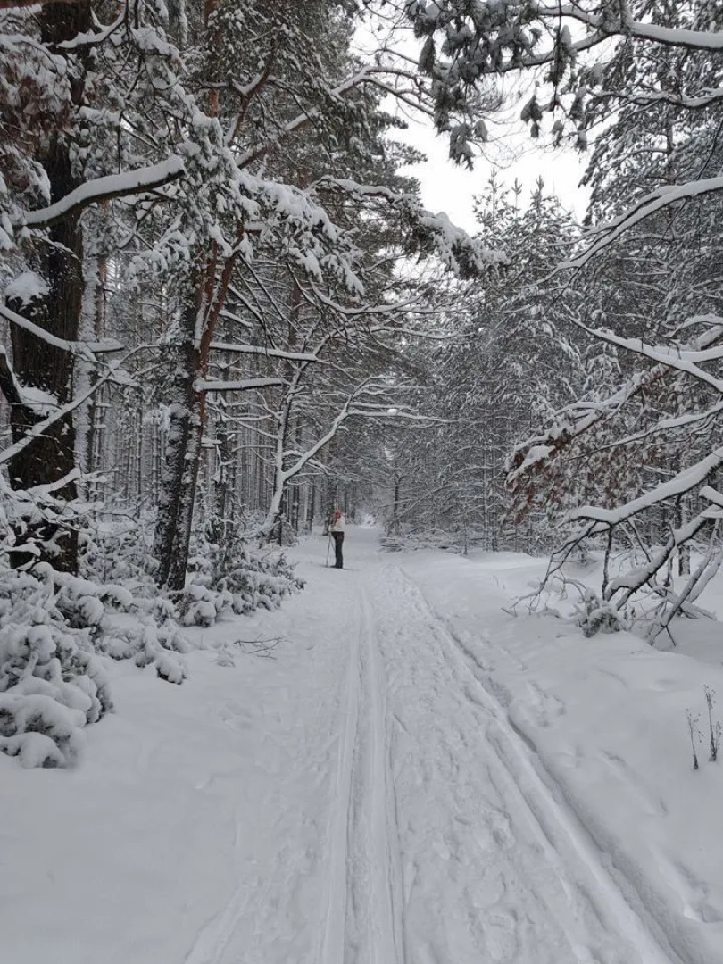 Квартира в сосновом лесу ЖК Гринпарк Солотча