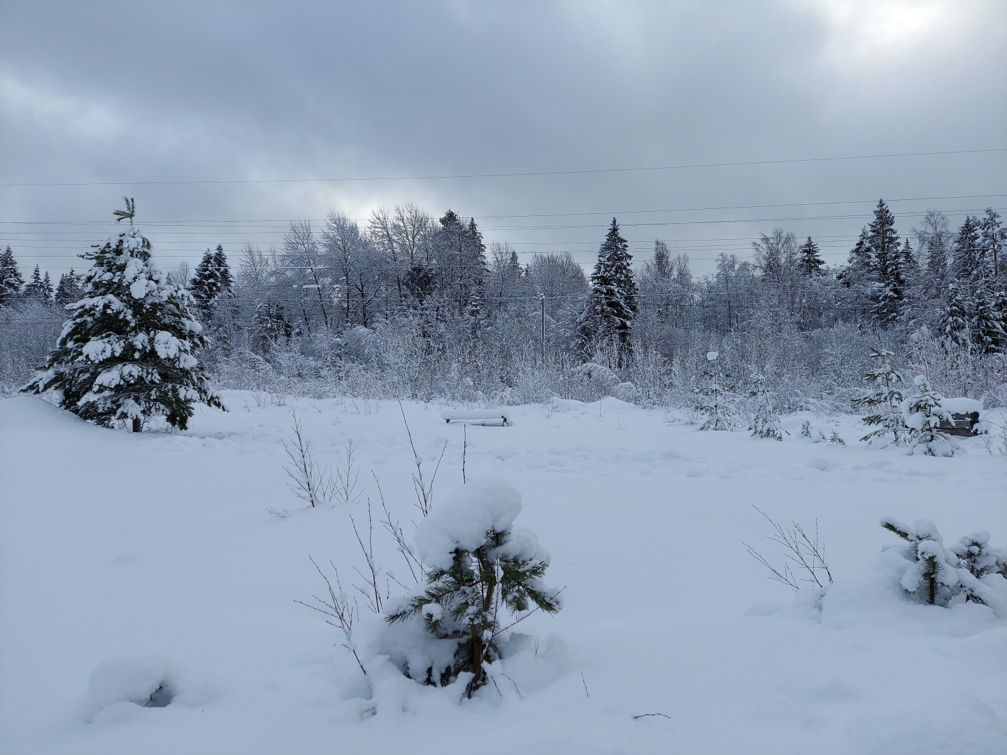 Коттедж Weekend in Korobitsino