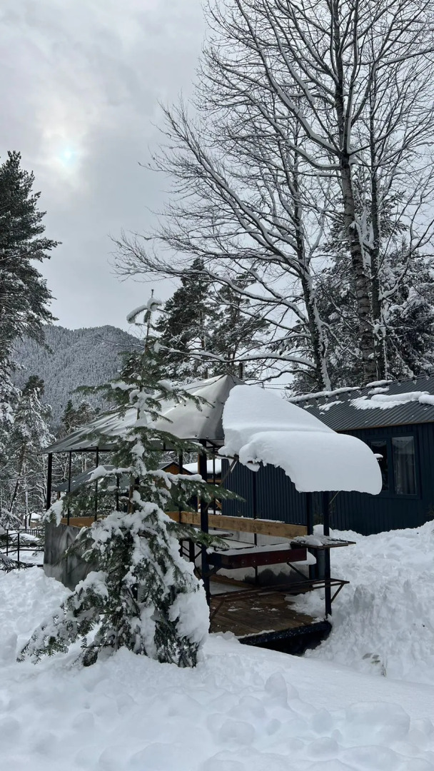 База отдыха Сосновка