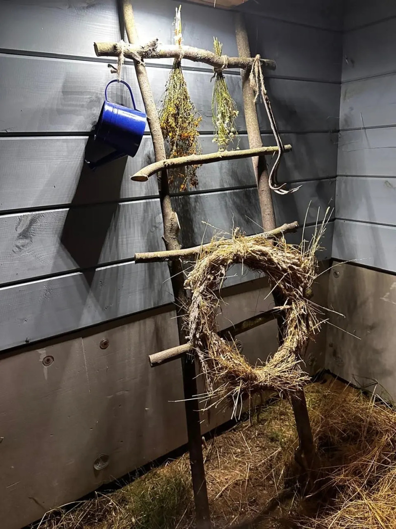 Частный дом АртДача