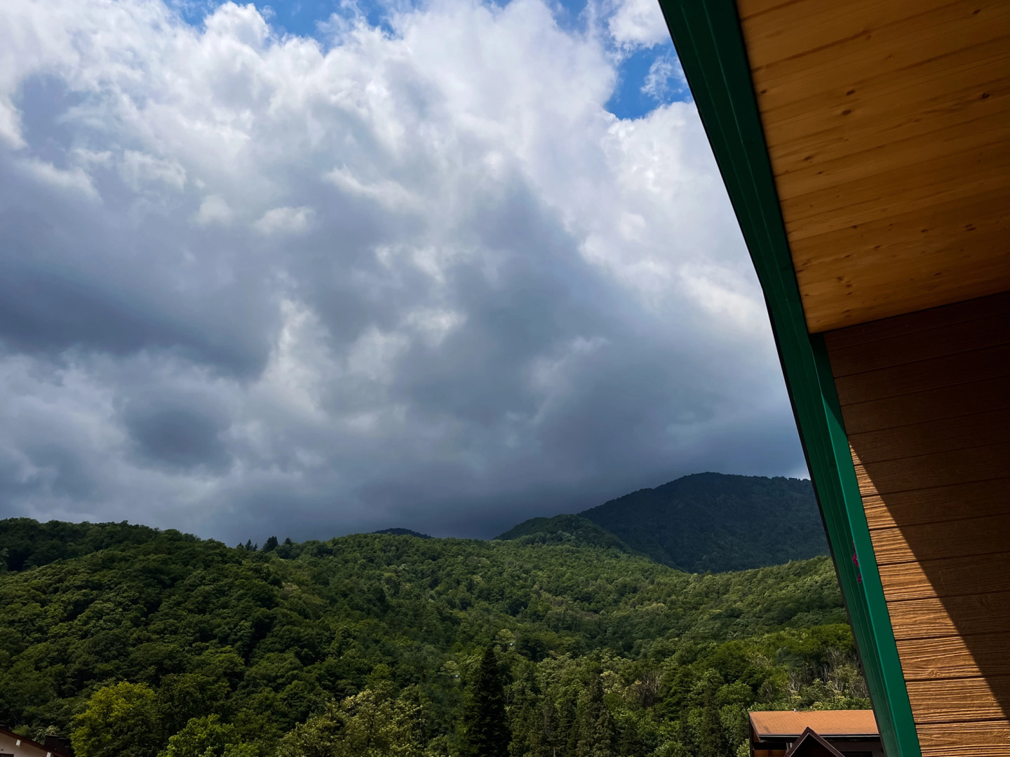 Апартаменты Green Berg 22