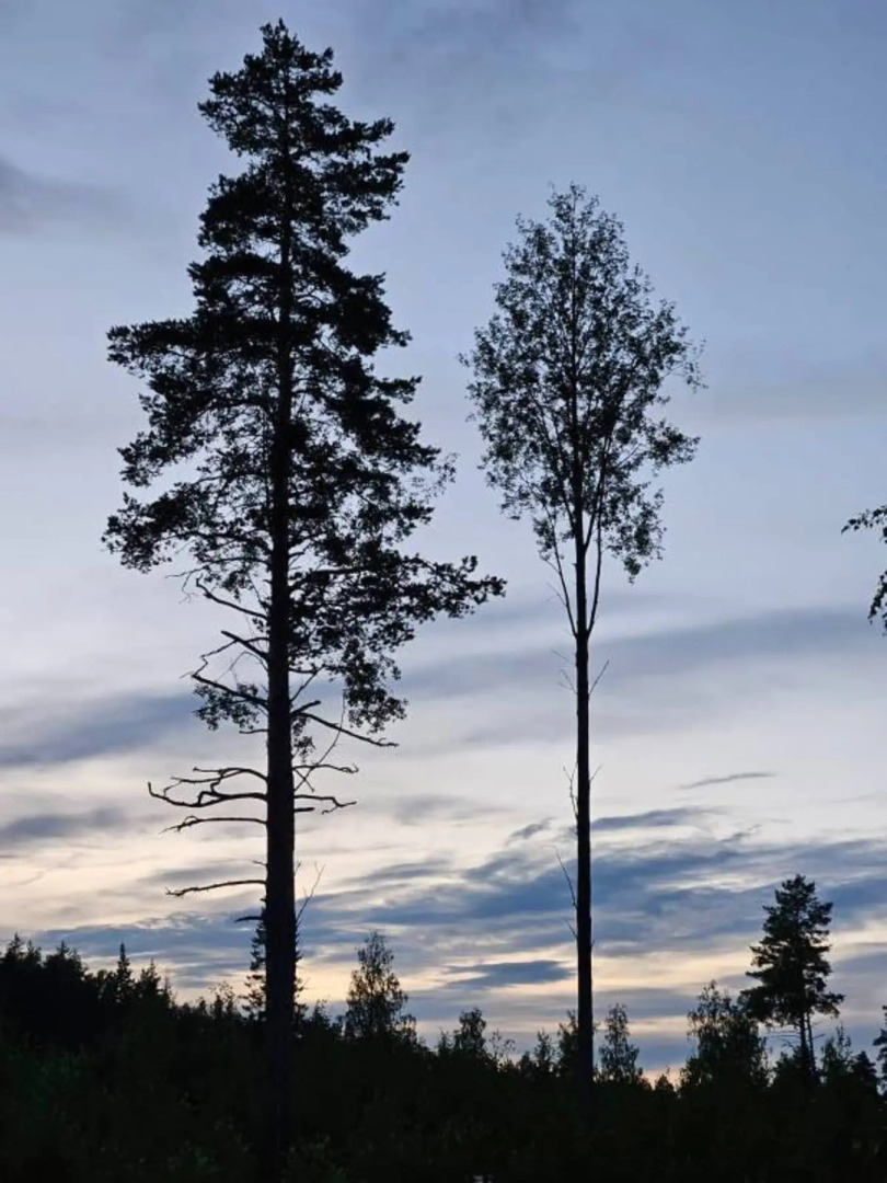 Эко Апартаменты уютные и светлые