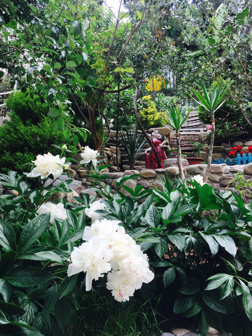 Гостевой Дом Ника