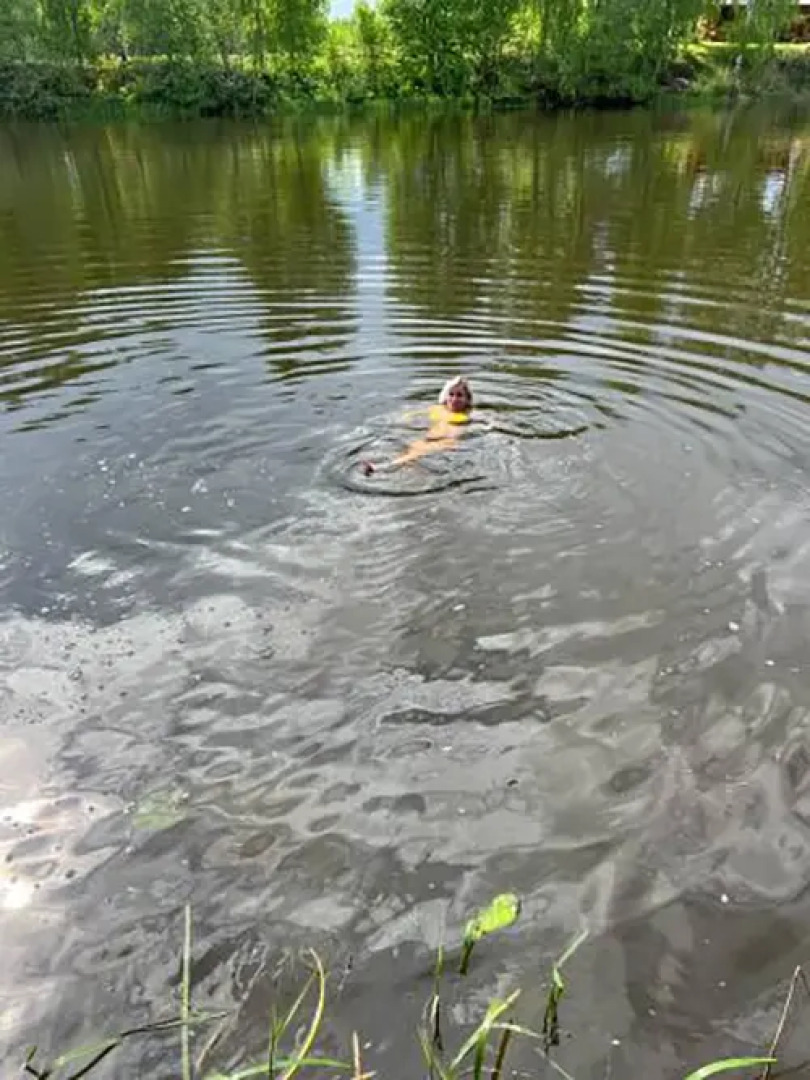 База Отдыха Земляничная Поляна