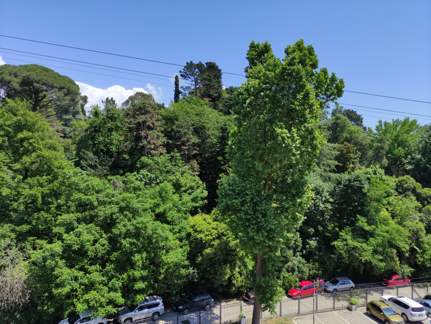 Отель Сочи-Бриз