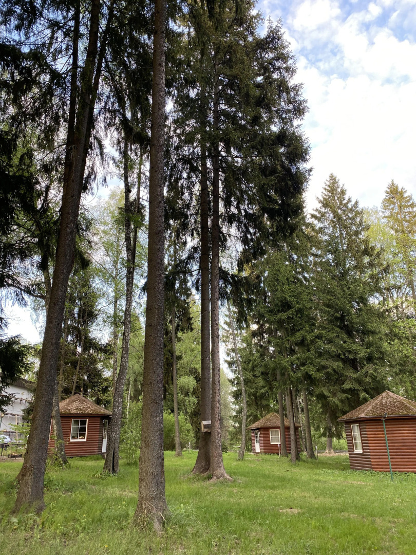 Отель Ruza Forest