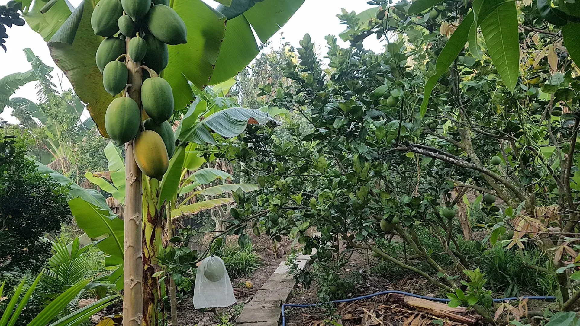 Гостевой дом Nhon Thanh Homestay